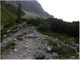 Malga Fosse - Rifugio Rosetta